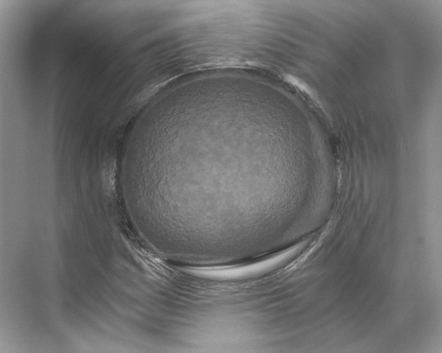 X0000073491161200608140834