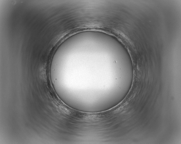 X0000073491162200608140834