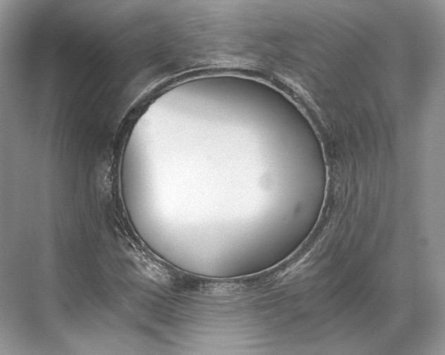 X0000073491163200608140834