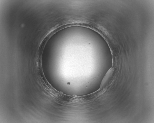 X0000073491165200608140834