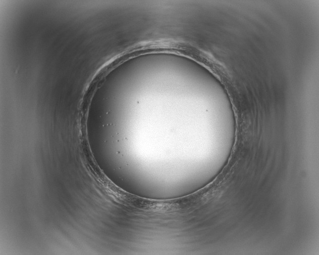 X0000073491166200608140834