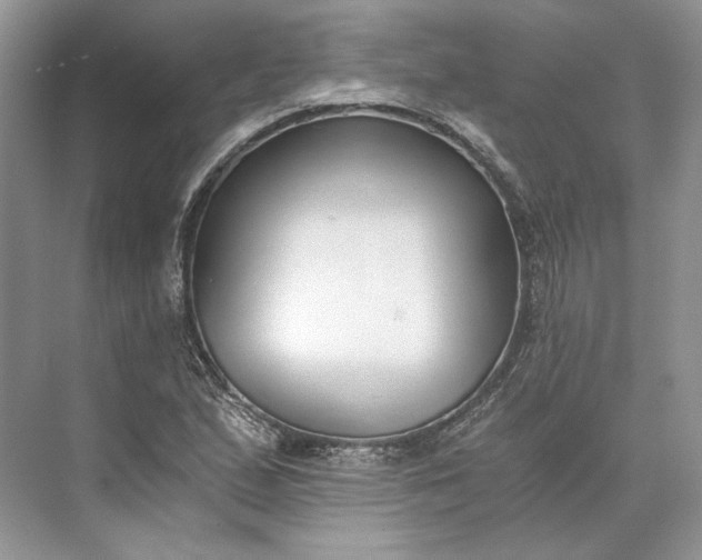 X0000073491167200608140834