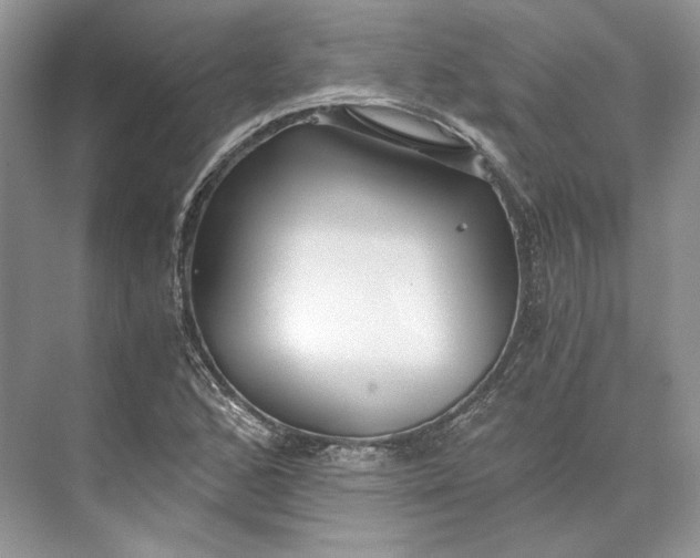 X0000073491168200608140834