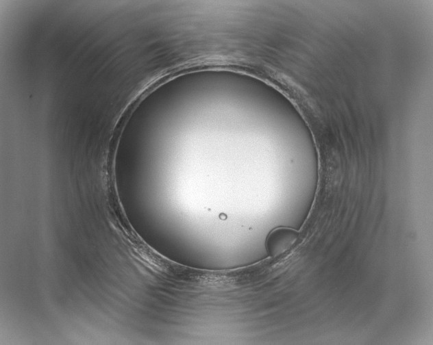 X0000073491170200608140834