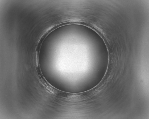 X0000073491171200608140834