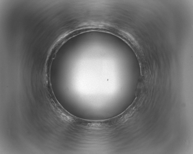 X0000073491172200608140834