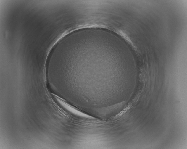 X0000073491173200608140834