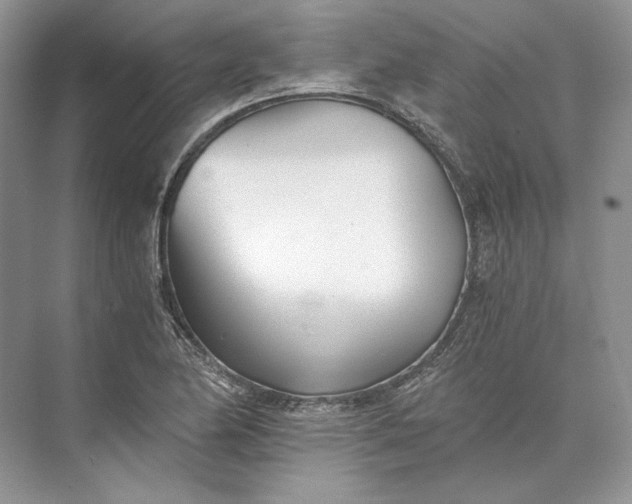 X0000073491174200608140834