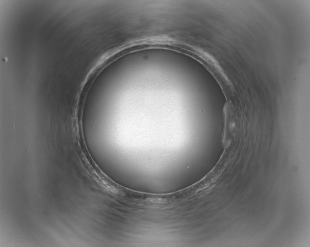 X0000073491176200608140834