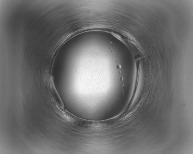 X0000073491177200608140834