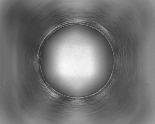 X0000073491178200608140834