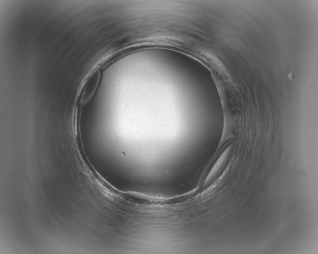 X0000073491180200608140834