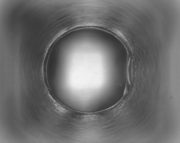 X0000073491181200608140834