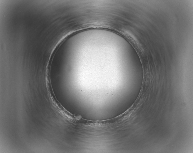 X0000073491182200608140834