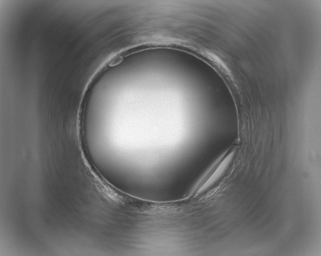 X0000073491183200608140834