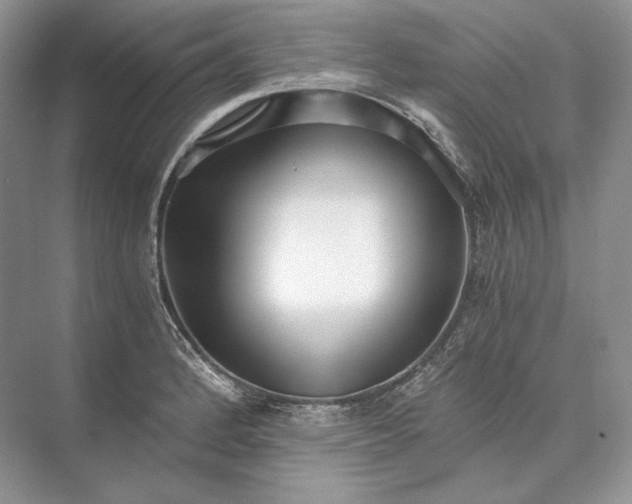 X0000073491184200608140834