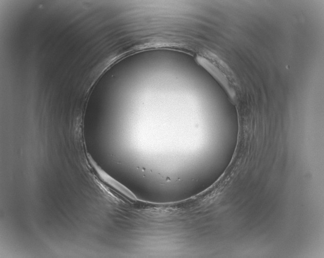 X0000073491185200608140834