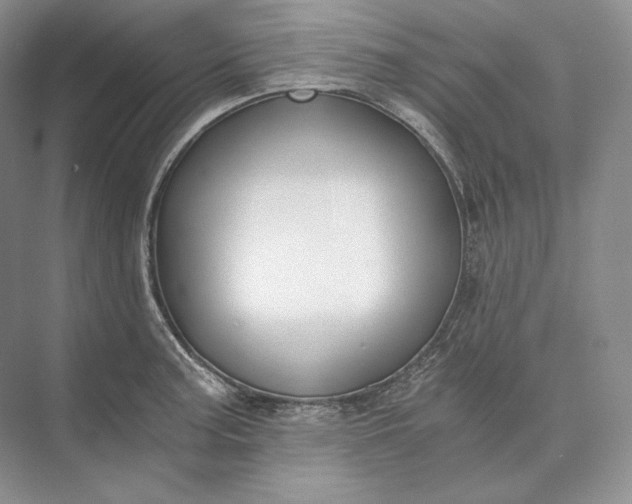 X0000073491187200608140834