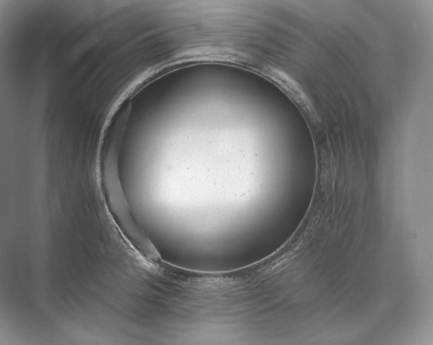 X0000073491188200608140834