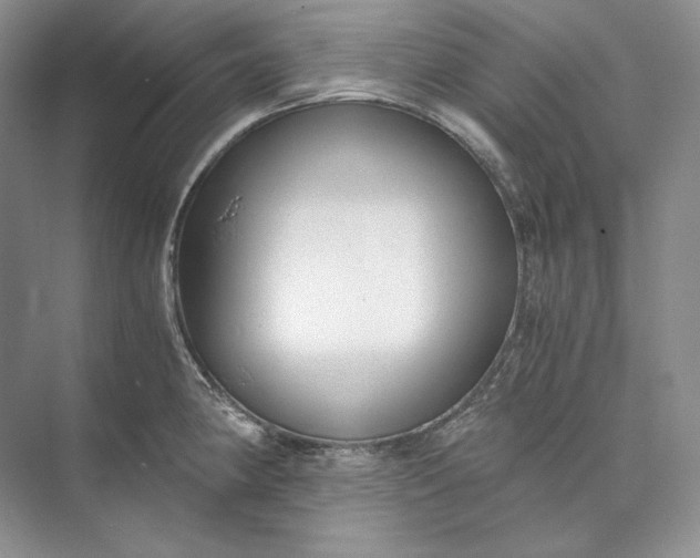 X0000073491190200608140834