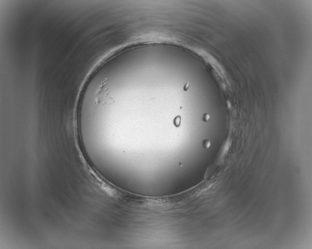 X0000073491191200608140834