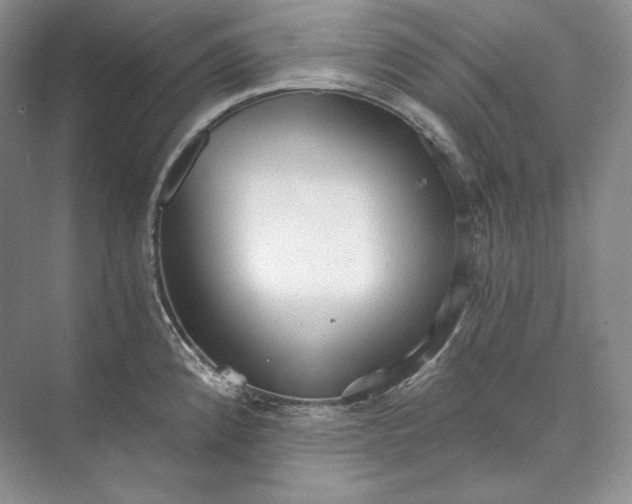 X0000073491192200608140834