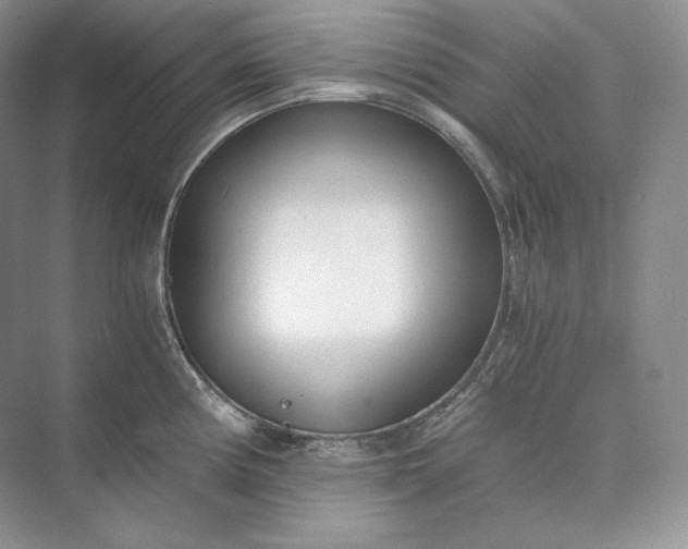 X0000073491194200608140834