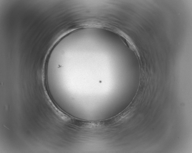 X0000073491195200608140834