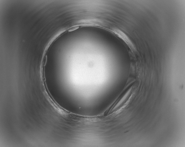 X0000073491196200608140834