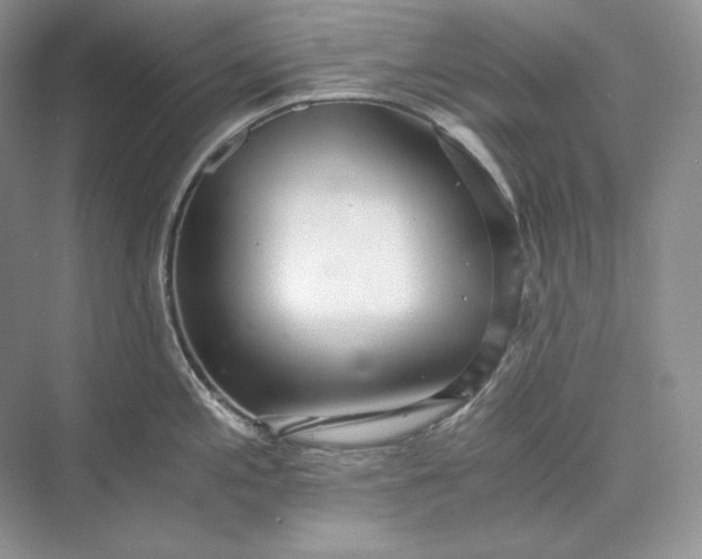 X0000073491197200608140834