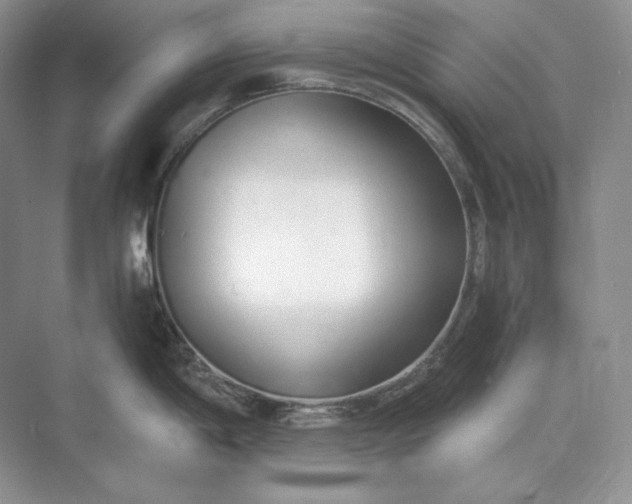 X0000073491198200608140834