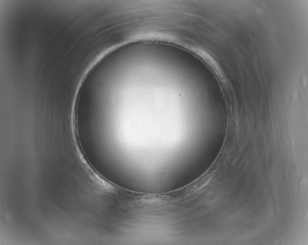 X0000073491199200608140834