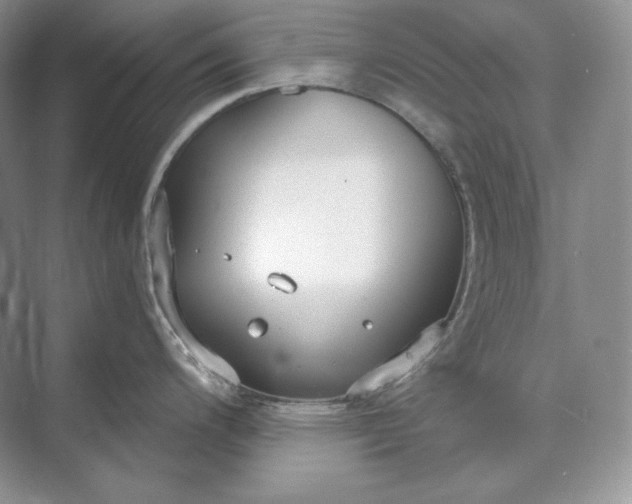 X0000073491200200608140834