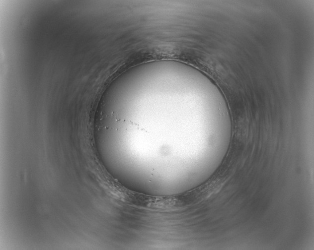 X0000073491201200608140833