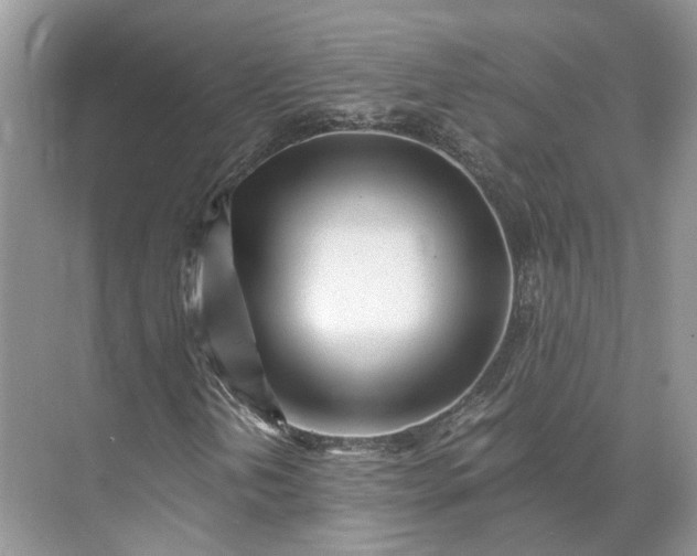 X0000073491202200608140833