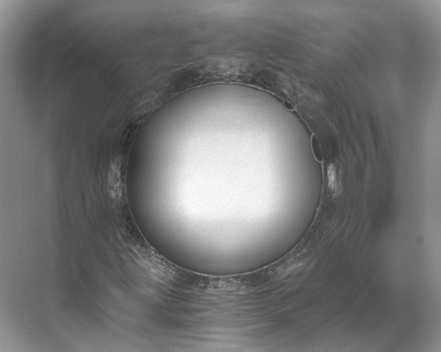 X0000073491203200608140833