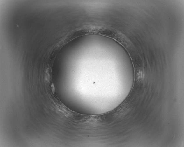 X0000073491204200608140833