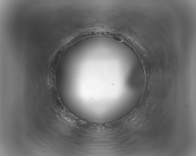 X0000073491207200608140833