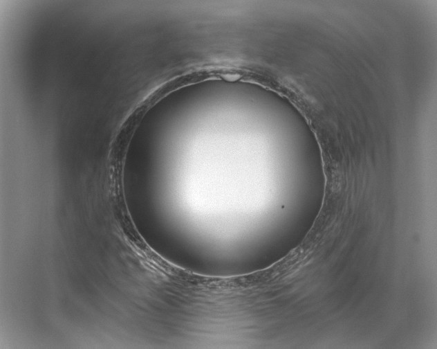 X0000073491208200608140833