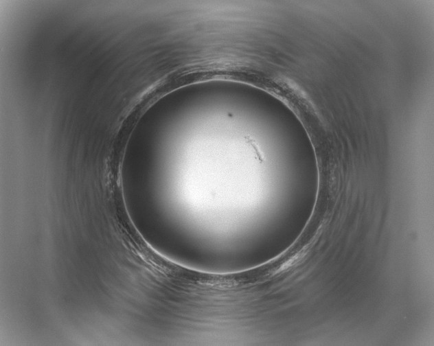 X0000073491210200608140833