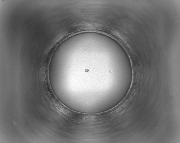 X0000073491211200608140833