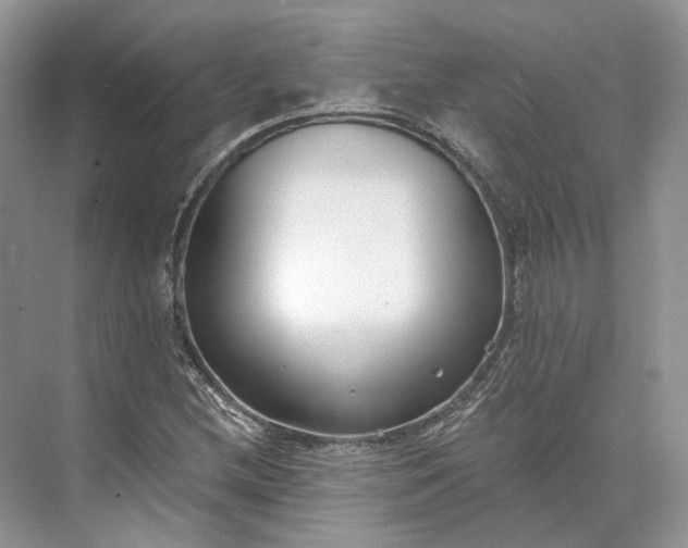 X0000073491212200608140833