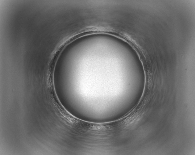 X0000073491215200608140833