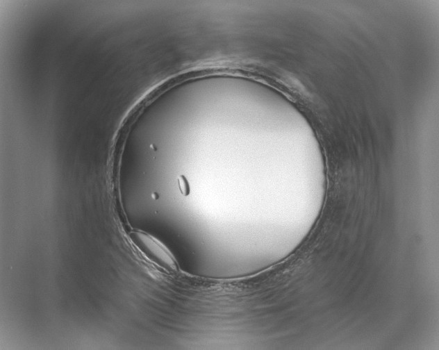 X0000073491216200608140833