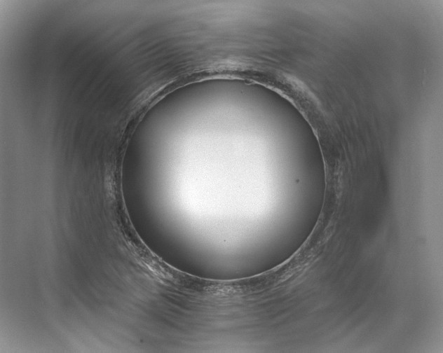 X0000073491217200608140833