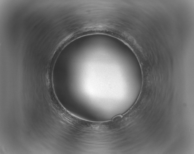 X0000073491218200608140833