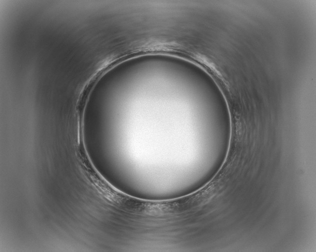 X0000073491219200608140833