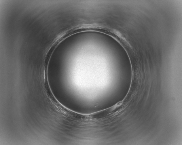 X0000073491221200608140833