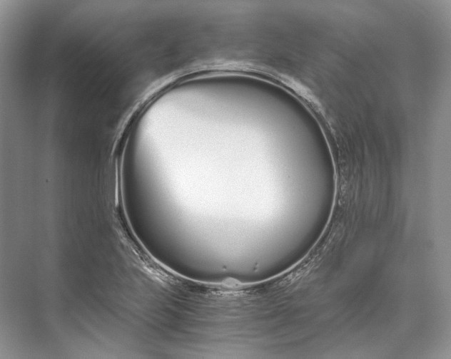 X0000073491223200608140833