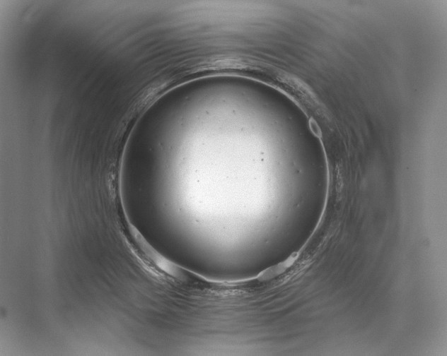 X0000073491225200608140833